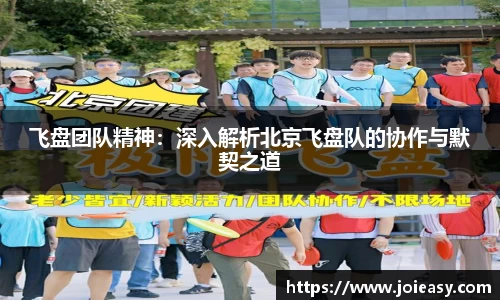 飞盘团队精神：深入解析北京飞盘队的协作与默契之道