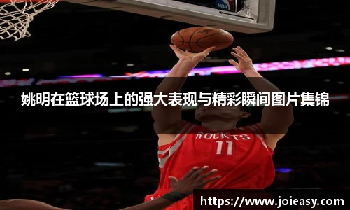 姚明在篮球场上的强大表现与精彩瞬间图片集锦